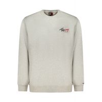 TOMMY HILFIGER Ανδρική Γκρι Φούτερ μπλούζα  DM0DM23116